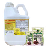 Calda Sulfocalcica Sulfertilizante Inseticida 5l +