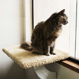 Cama De Janela Gato Prateleira Gatton Spacecat Lunar Jupiter
