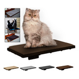 Cama Gato Prateleira Janela