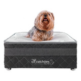 Caminha Pet Box+ Lençol Impermeável Cachorros Gatos 60x60cm
