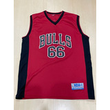 Camisa Chicago Bulls Nba #66