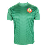 Camisa Palmeiras Masculina Camiseta Campeao Brasileiro Licen