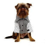 Camisa Pet Para Cães Porte Médio Pied Poule My Boo - G