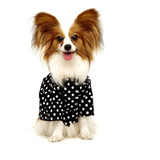 Camisa Pet Para Cães Porte Médio Polka Dot Preta My Boo - Gg