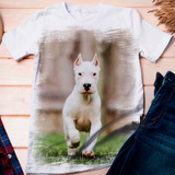Camiseta Cachorro Dogo Argentino Filhote 2 - Dicelli