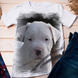 Camiseta Filhote Dogo Argentino - Dicelli