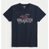 Camiseta Hollister Masculina 100% Original Importada
