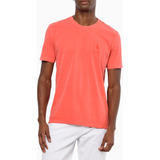 Camiseta Masculina Re Issue Melancia Calvin