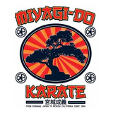Camiseta Miyagi Karate Kid Ufc Luta