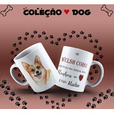 Corgi