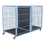 Canil Modular Duplo Inferior Para Petshop