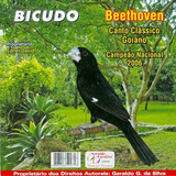 Canto De Pássaro - Cd -