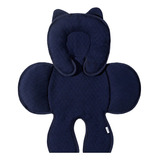 Capa Anatomica