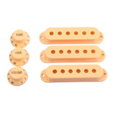 Fender
