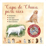 Cão
