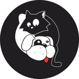 Gato