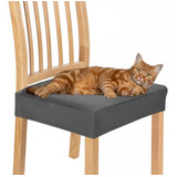 Capa Para Assento Cadeira Ante Gato Kit 4 Peças - Envio Full