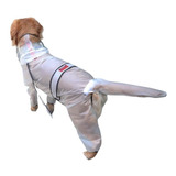 Capa Pet Chuva Transparente Cão Apresenta Manchas Veja Fotos