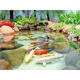 Carpas Koi Coloridas 25cm Peixe Lago Jardim Aquário