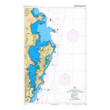 Catarina