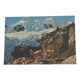Cartão Postal Antigo Parque Nevado Santa Rosa Peru 1974