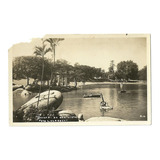Cartão Postal Antigo Quinta Da Boa Vista - Rio - Ah1