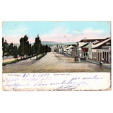 Cartao Postal Varzea Frente Norte - Porto Alegre - Rs - 1908