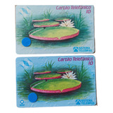 Cartão Telefônico: Vitória Regia. 2casas Diferentes.pasta Ro