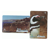 Cartão Telefônico Br Telecom Patagônia Rochas/pinguins - Bo8