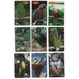 Cartões Telefônicos Fauna/aves Usados,37 Cartões.