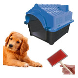 Casa Plástica Pet Azul Cães N4