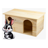 Chinchila