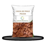Casca De Pinus Polida Média 160 Litros