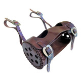 Cavalo