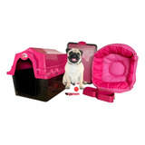 Casinha Caminha Plástica Kit Cachorro Completo M Conforto