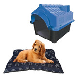 Pet