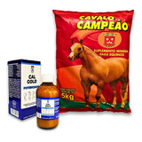 Cavalo Campeão 5kg Competição Calgold Oral 200ml Ade B12