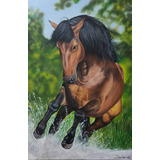 Cavalo Lusitano. Quadro De Pintura A Óleo Sobre Tela.