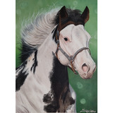 Cavalo Paint Horse. Quadro Com Pintura A Óleo Sobre Tela.