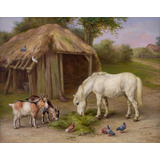 70cmx55cm