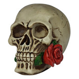  Caveira Com Rosa Na Boca Crânio Decorativo Halloween Resina