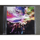 Cd - Black Stone Cherry - Magic Mountain * Imp - Southern