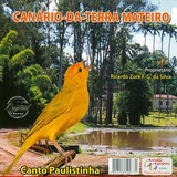 Cd - Canário-da-terra Mateiro - Canto