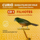 Cd - Curió - Guga Filho