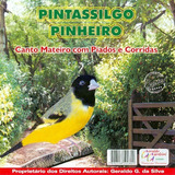 Cd - Pintassilgo Pinheiro - Canto