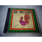 Cd Big Mountain - Wake Up