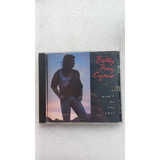 Cd Billy Ray Cyrus It Won't Be The Last (importado)