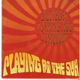Cd Billygoat /flming Moe /son..- Playing At The Sun 