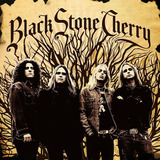 Cd Black Stone Cherry (importado)