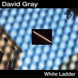 Cd David Gray (white Ladder) David